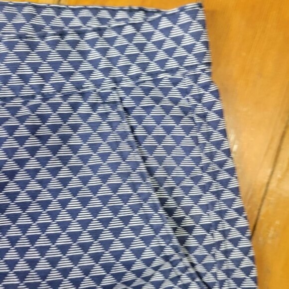 Gap Flat Front Geometric Triangle Shorts Size 10R Blue/White - Picture 4 of 9